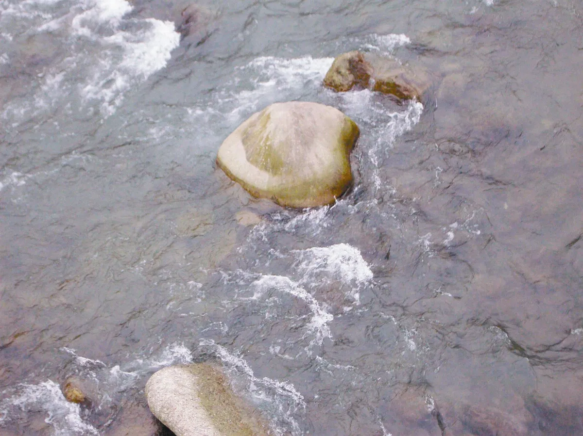 【旅行中的風景】栩栩如生石蛤蜊