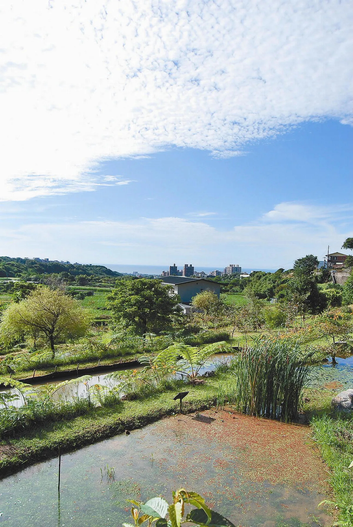 三芝 耘耔夢田