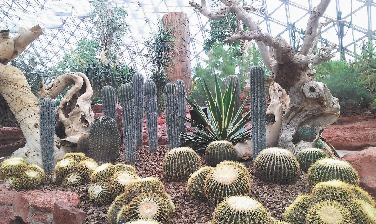 【秋情秋景秋思】   遊上海辰山植物園