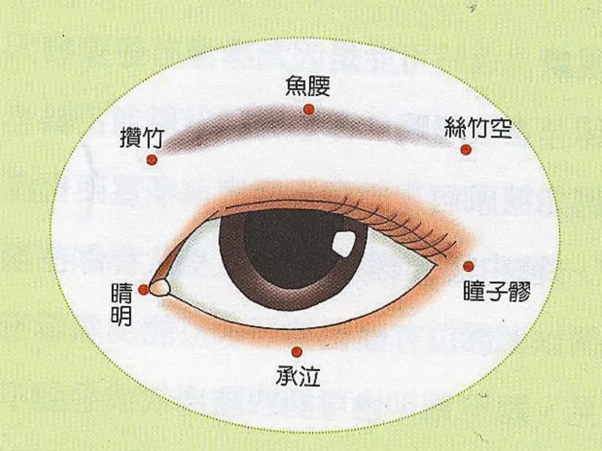 老花眼的中醫療法