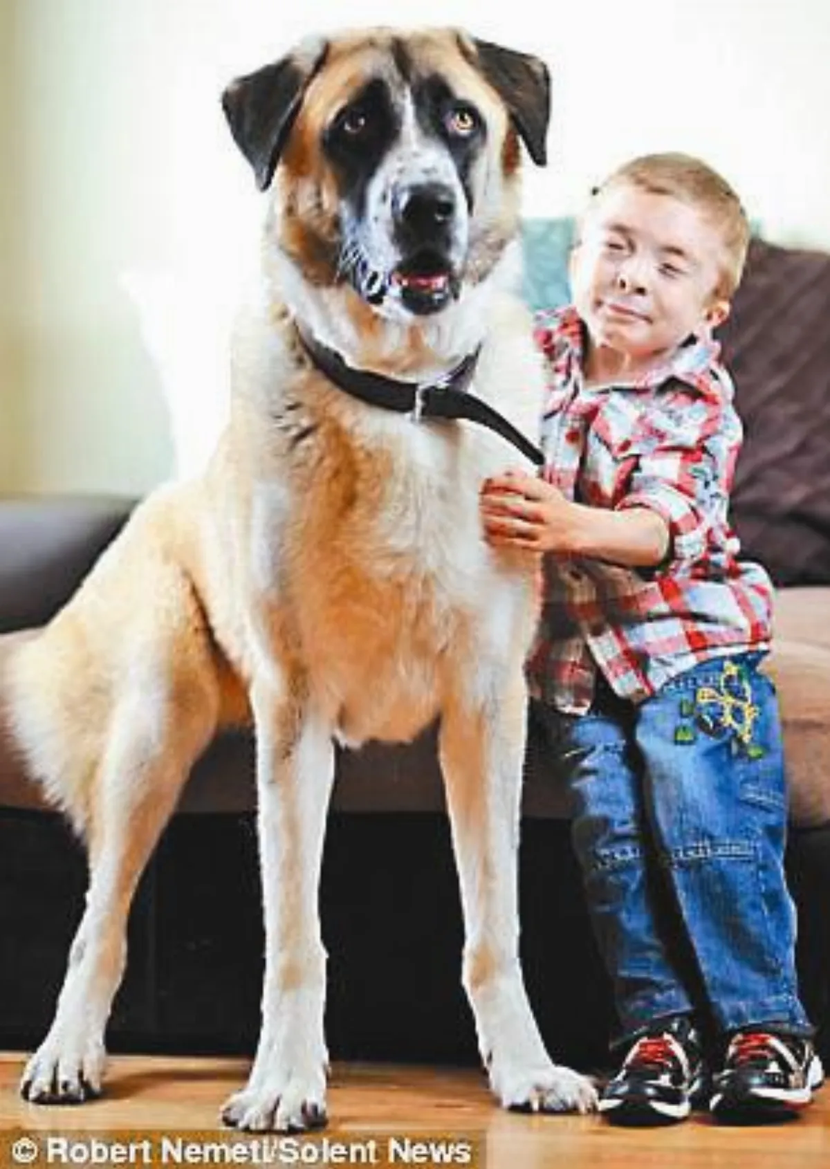 三腳犬 伴罕病兒戰勝恐懼