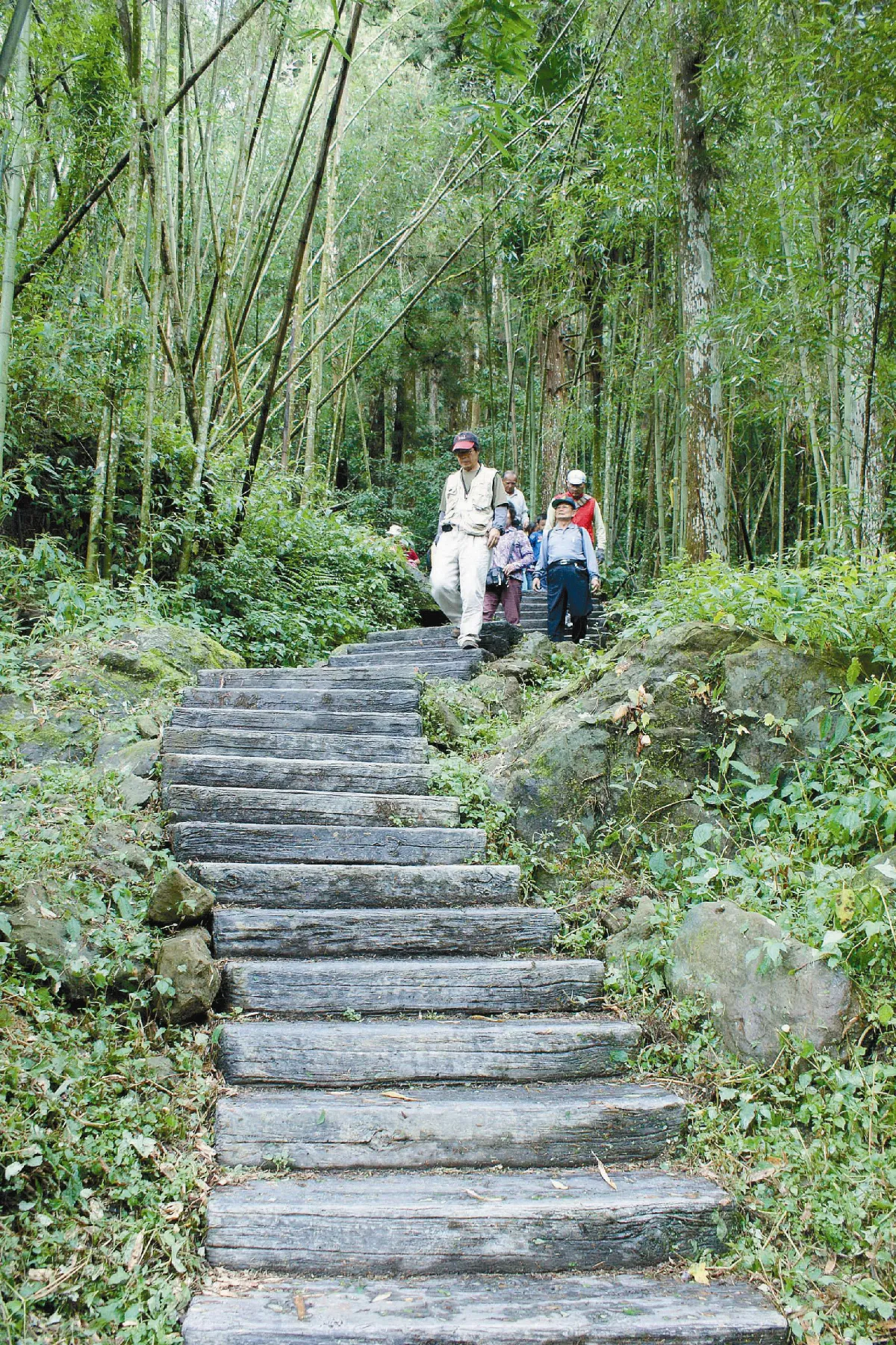 【悅讀人生】 走出健康 走出美麗