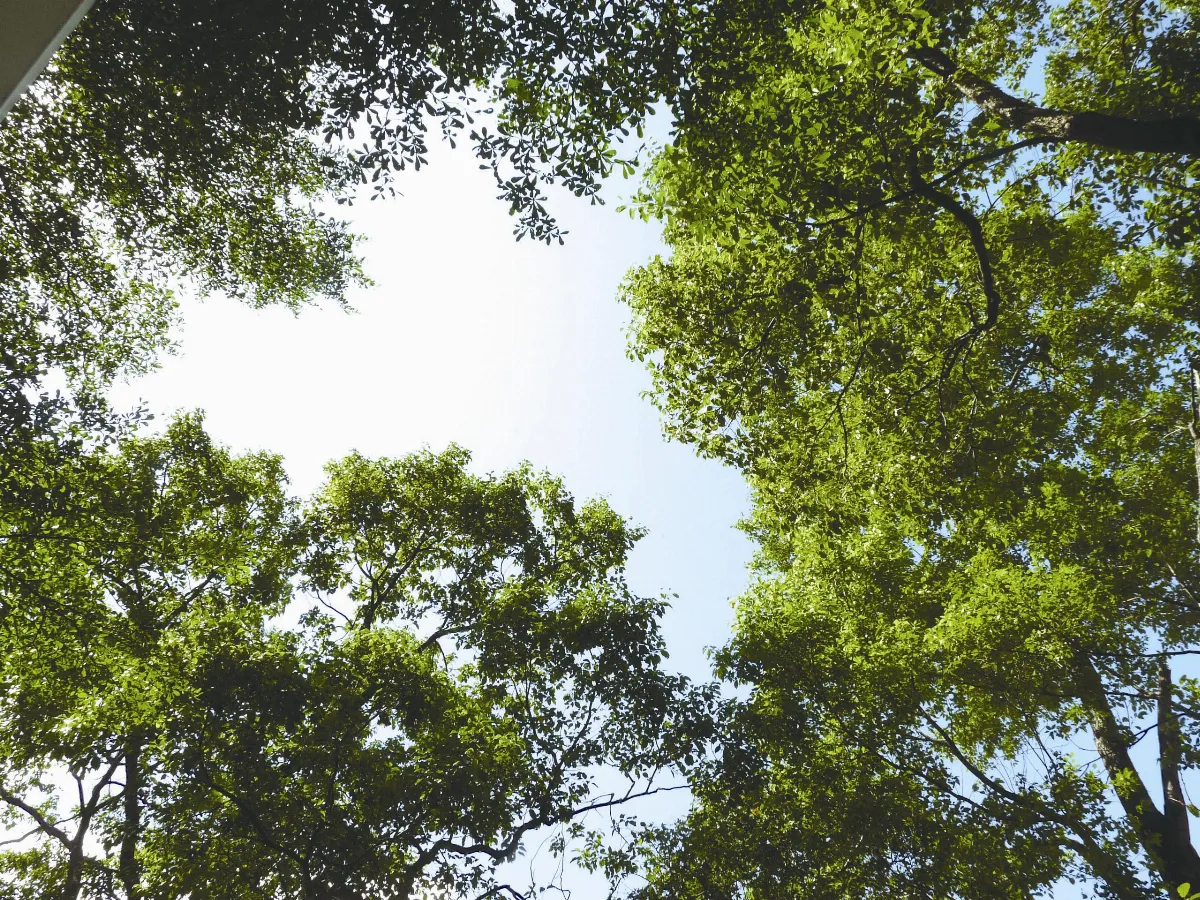 山居樂活    半農半X   順從自然．實踐天賦