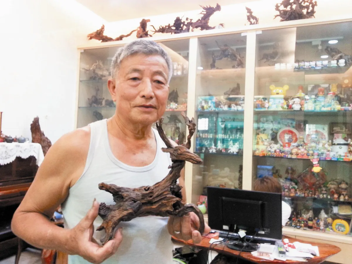 登山撿朽木 黃金龍木雕生動