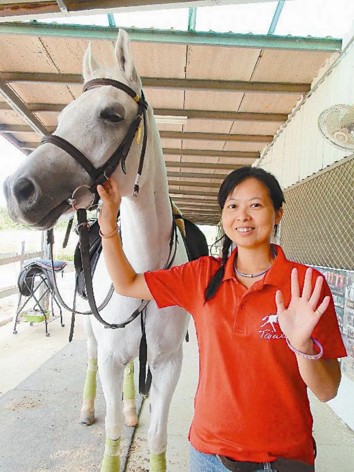 治療師 默默推動身障生馬術復健