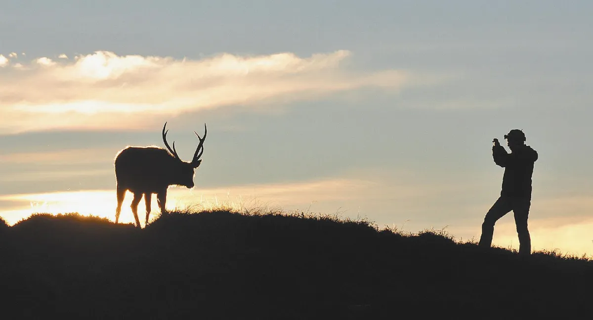 白石山下 人鹿邂逅