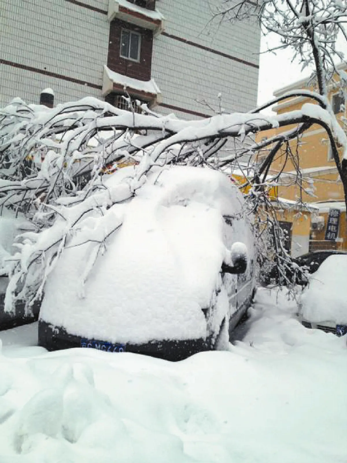 北京初雪暴衝 雨夾雪降水量破紀錄
