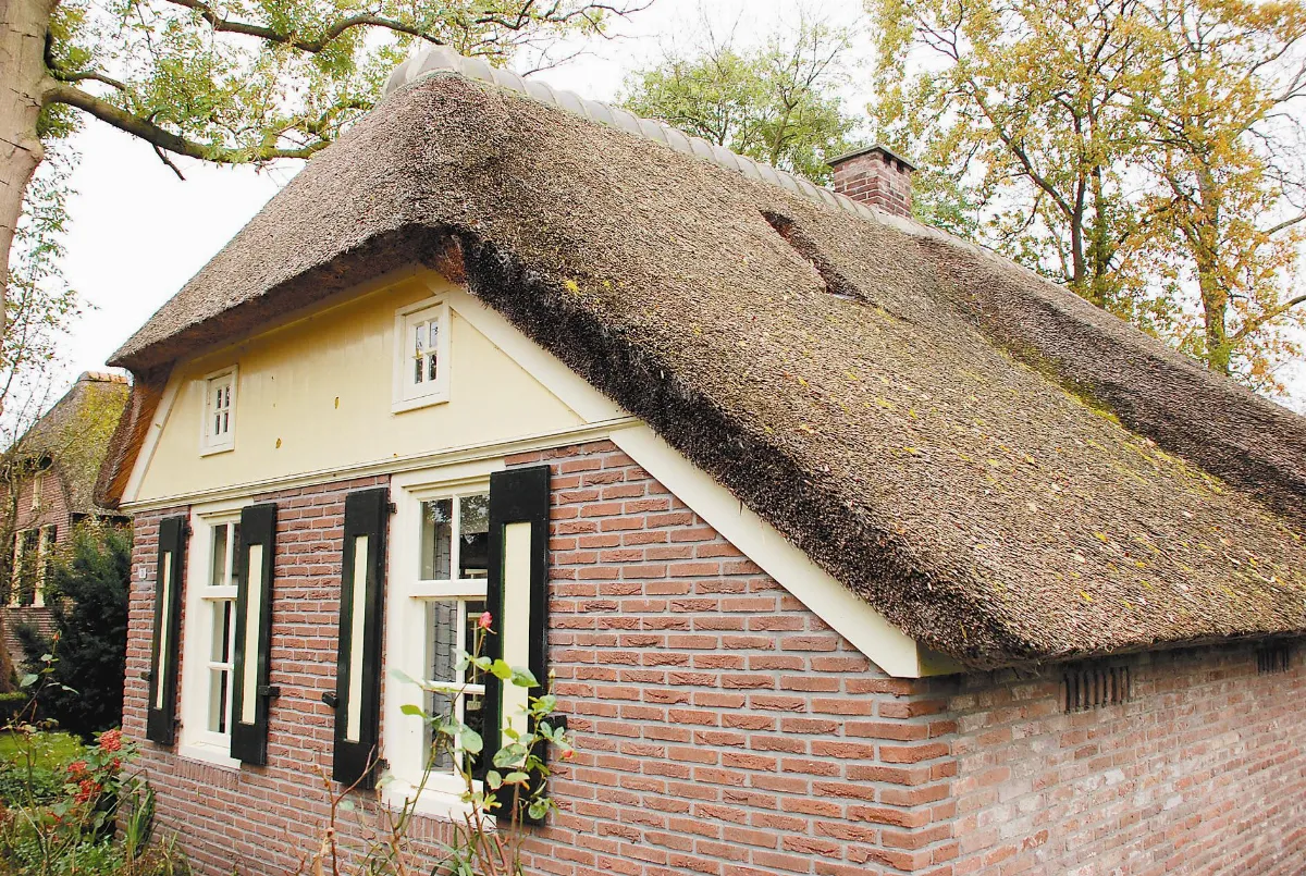 漫遊名勝荷蘭羊角村