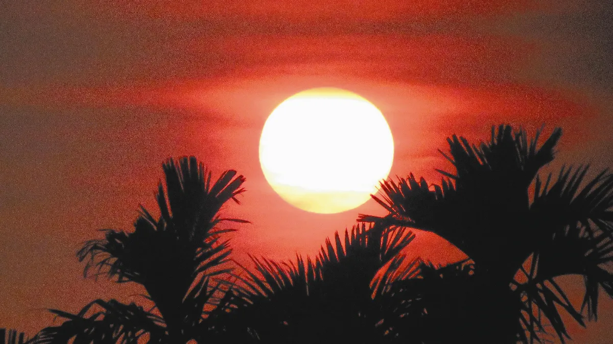 文與圖／陳加再