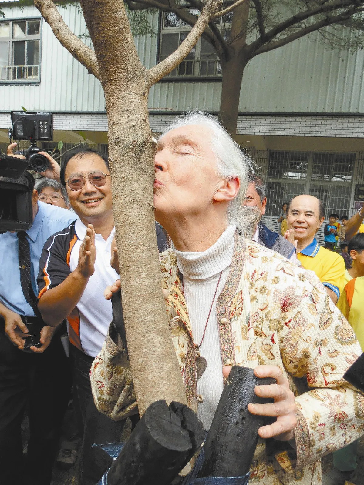 尊重每一株樹 珍古德吻樹