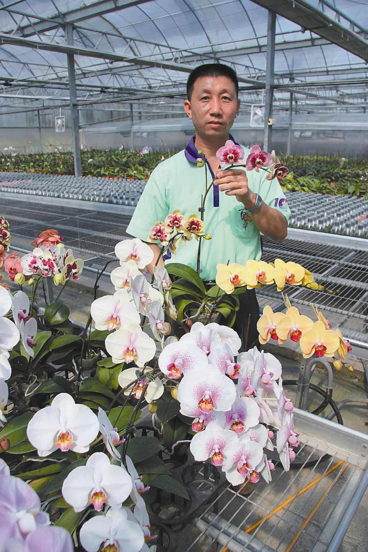 董又銘 入圍神農獎 存錢買蘭花 1年研發30種