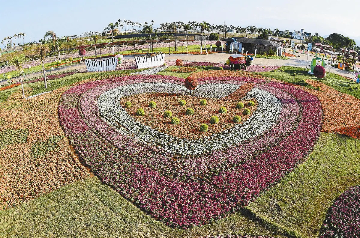 新社花海 周六繽紛登場