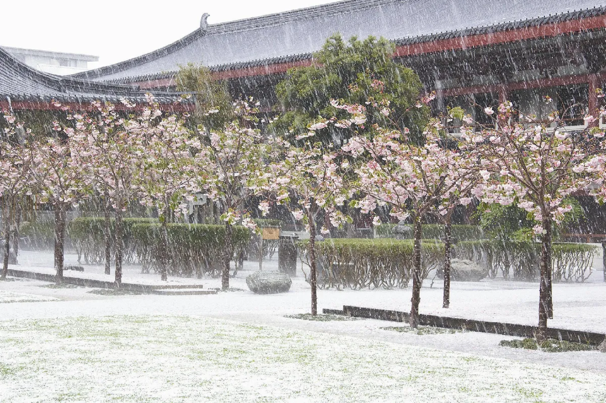 奇景紐西蘭夏日降冰雹