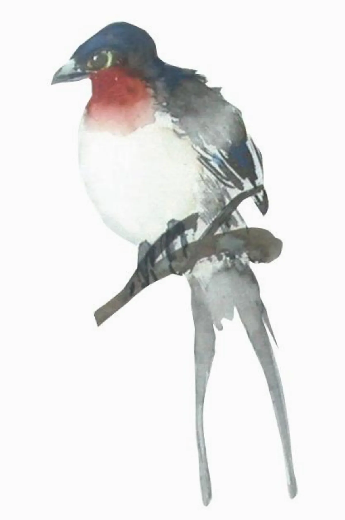 【遊藝筆記 】燕子故事