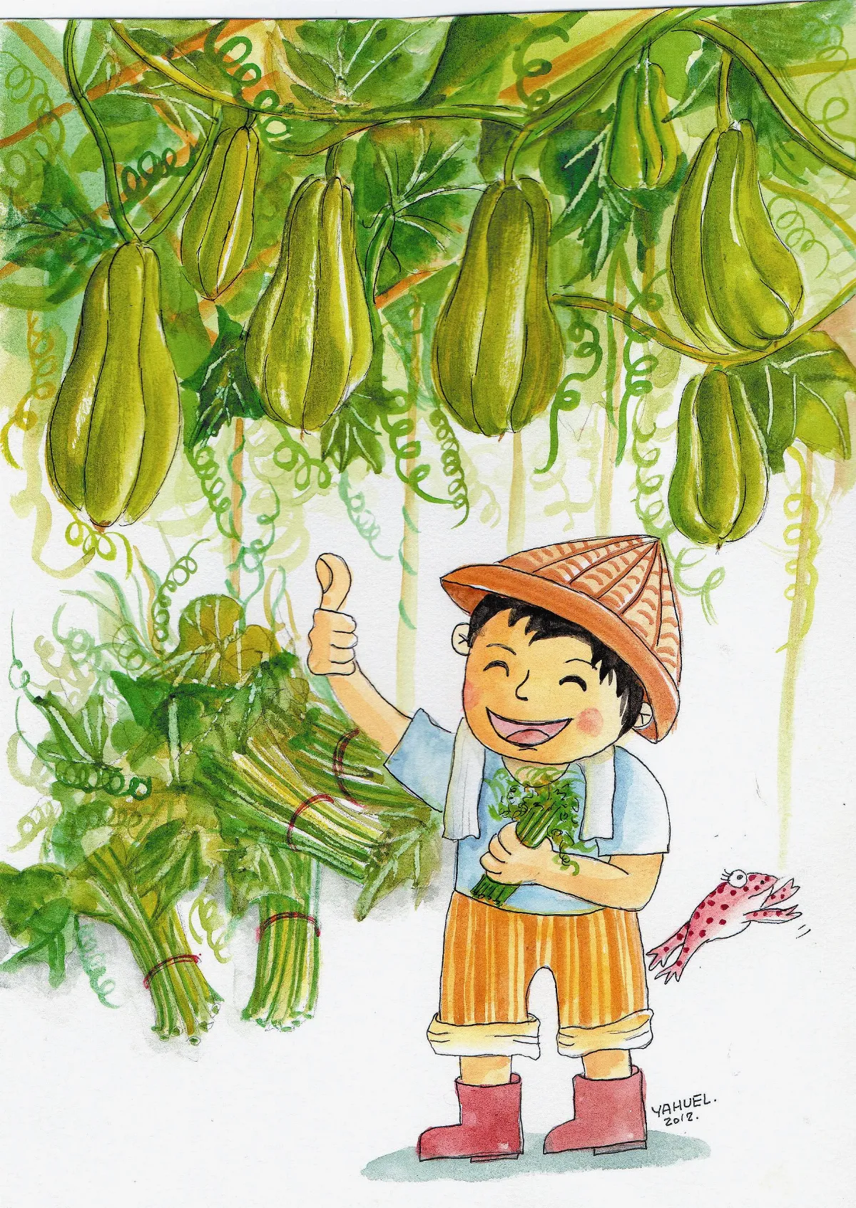 營養123佛手瓜與龍鬚菜