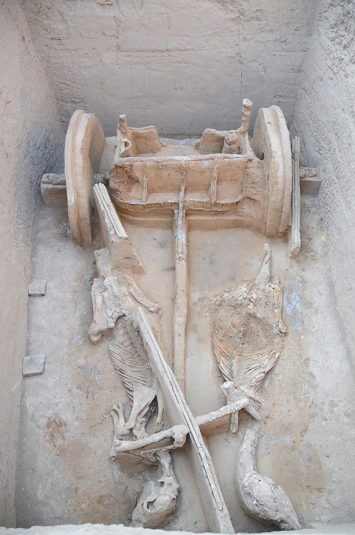 秦人戰車出土