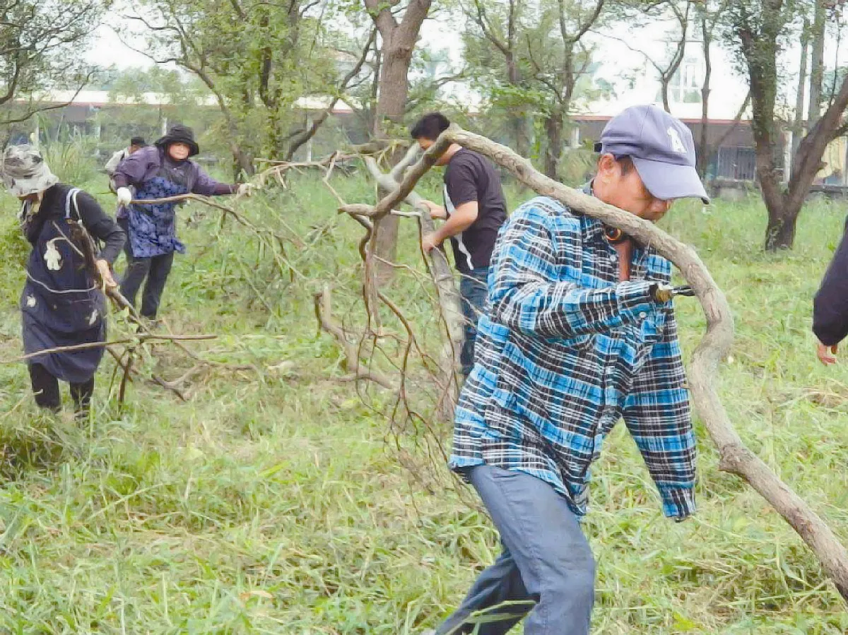 佳暮英雄領軍返榮家除草報恩