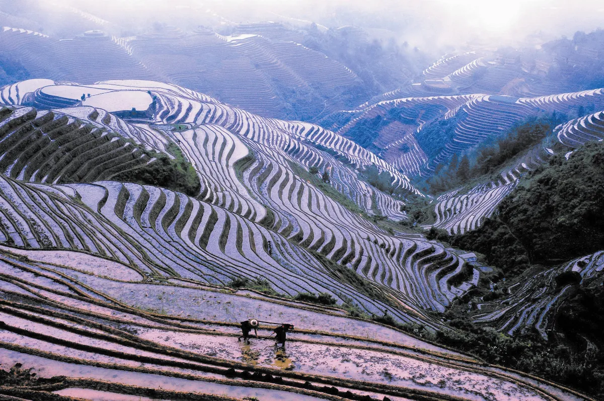 【旅行的風景】桂林梯田　天下一絕