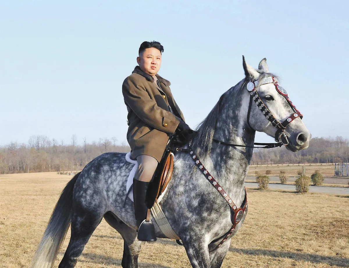 Time562萬票 金正恩笑傲風雲榜