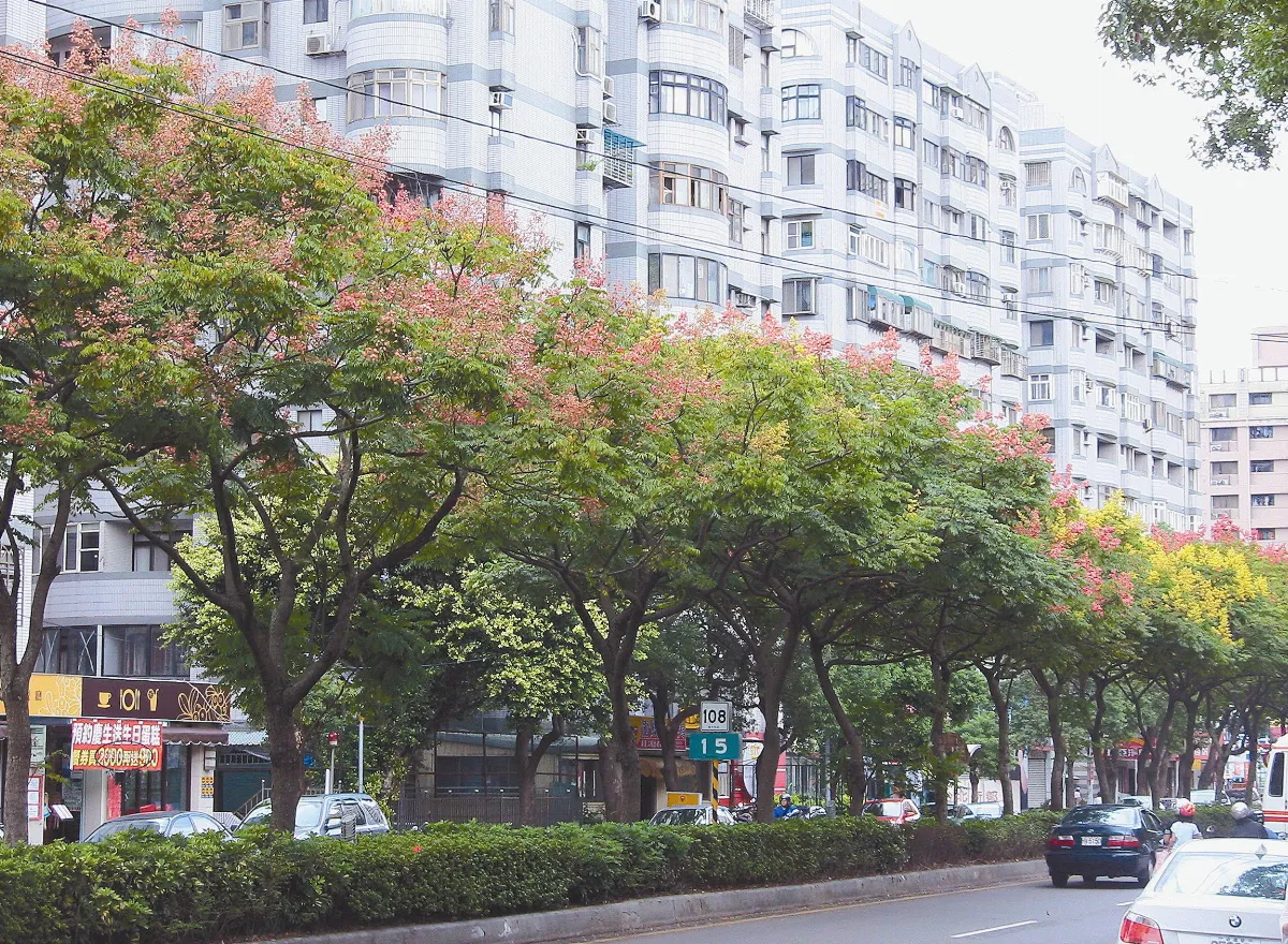 都會秋意／新北市陳文榮
