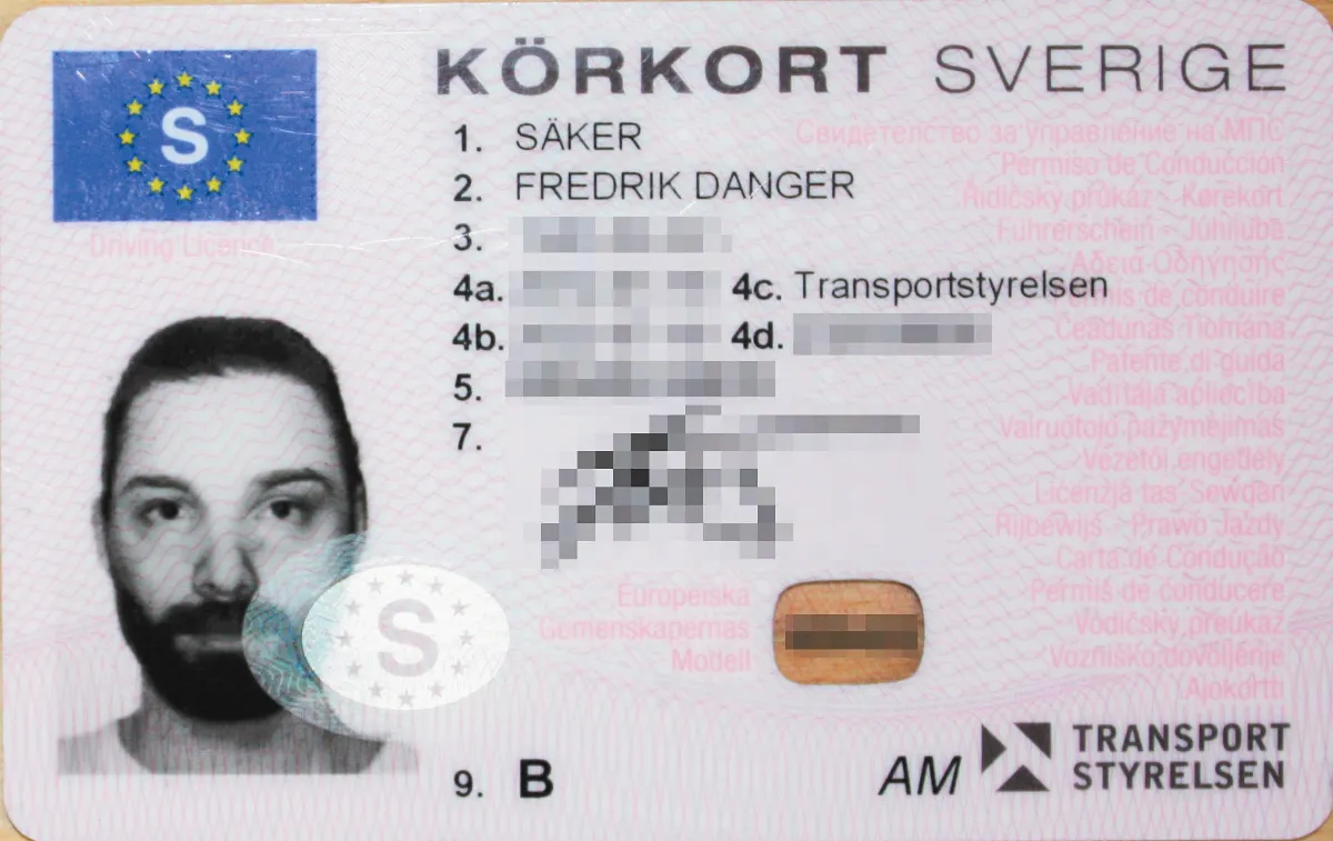 自畫像太逼真 辦駕照獲准