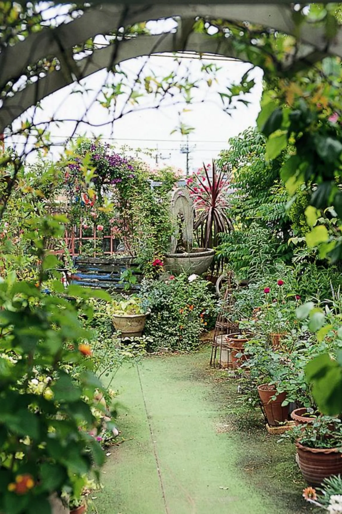 打造色彩活潑花園