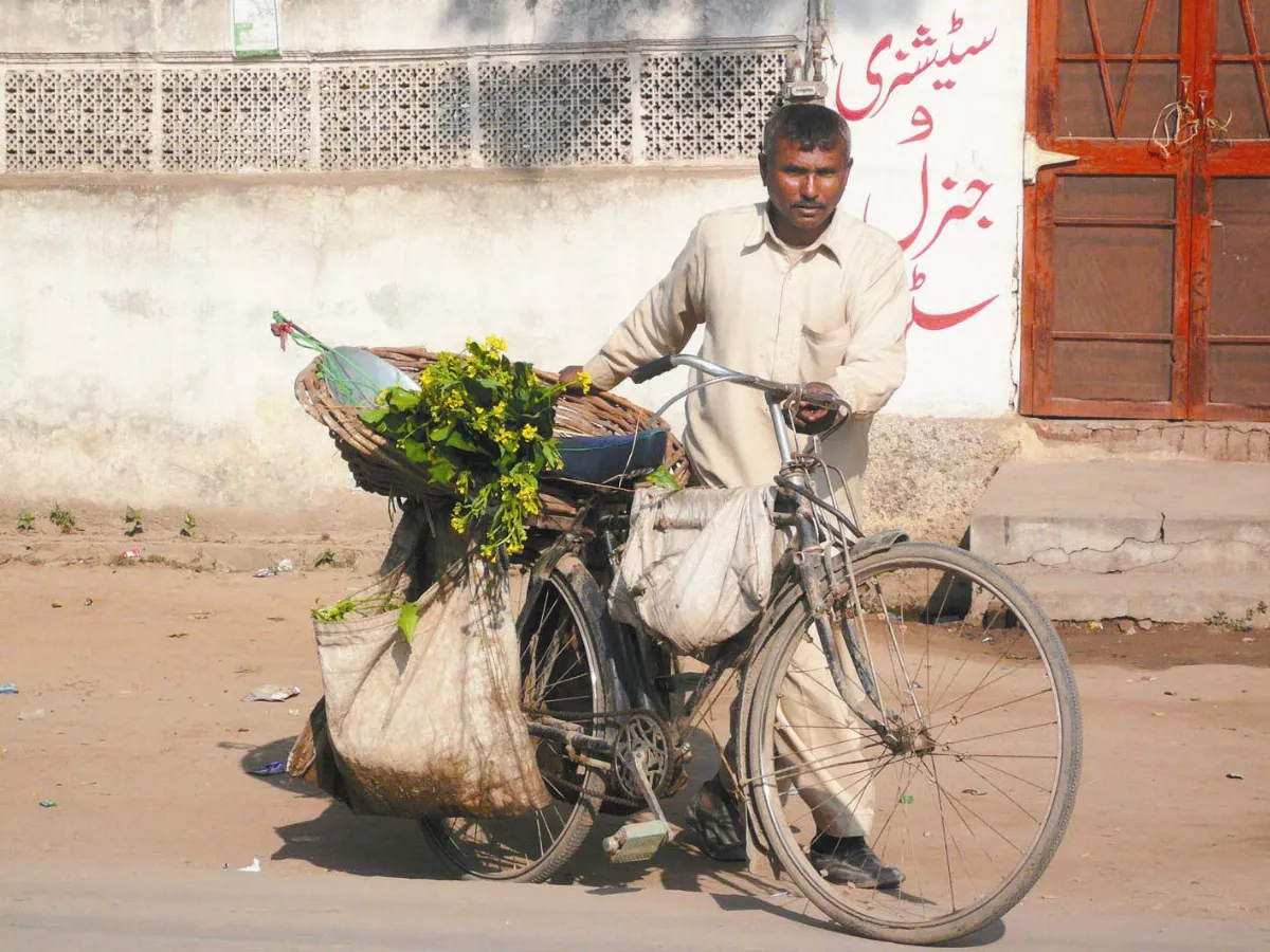 【迷戀巴基斯坦】喜歡這樣賣菜
