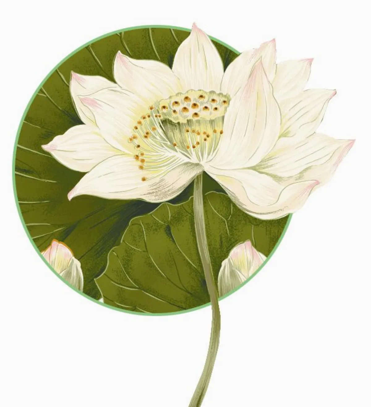 生死自在      媽媽最後的生命示現——我的永續生死學功課 （三）