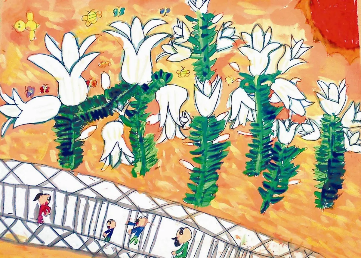 快樂塗鴉簿盛開的百合