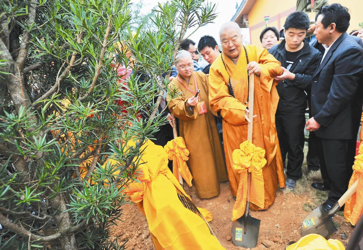 植和平樹 祈佛光普照兩岸