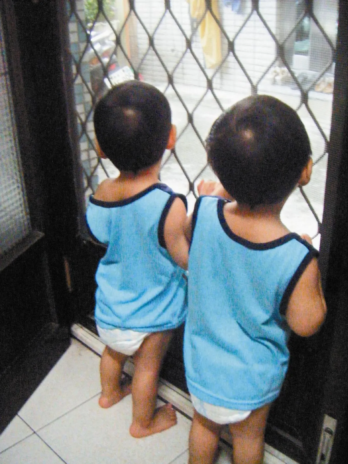 不到2歲孿生兄弟 待收養