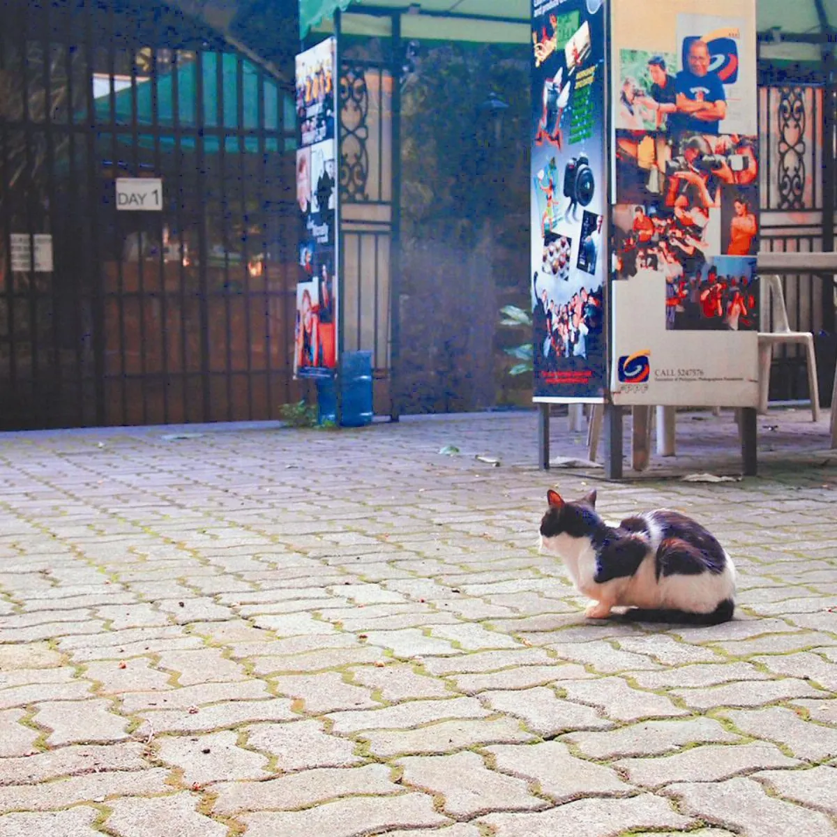 在路上偷看