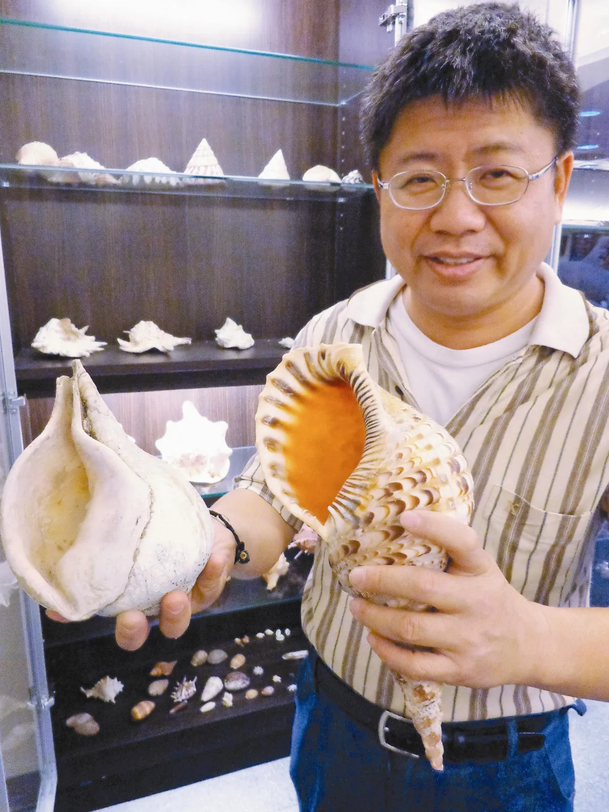 貝殼爺爺遺愛化石新生