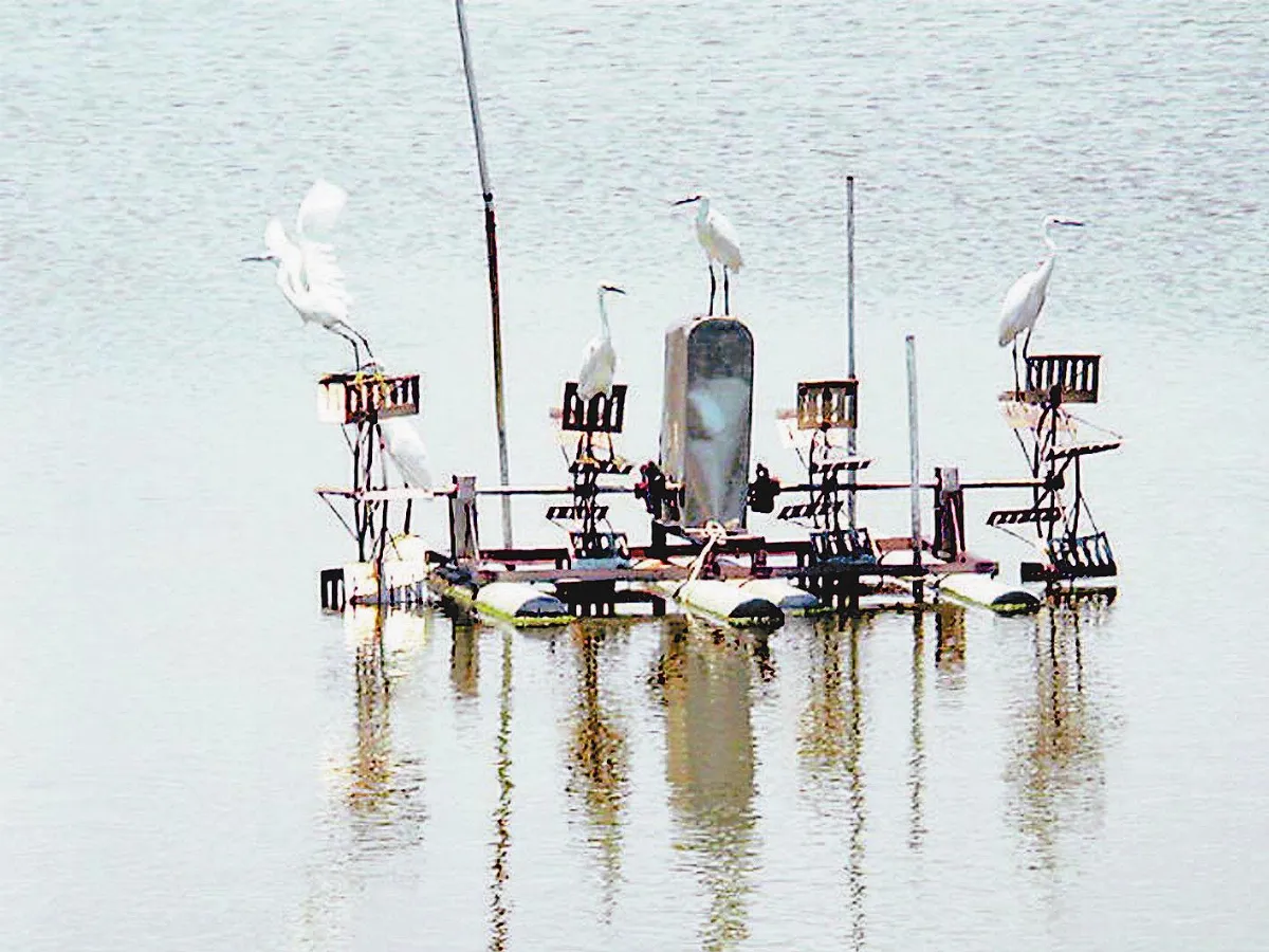 避免魚兒著涼受風寒智慧手機  一指搞定