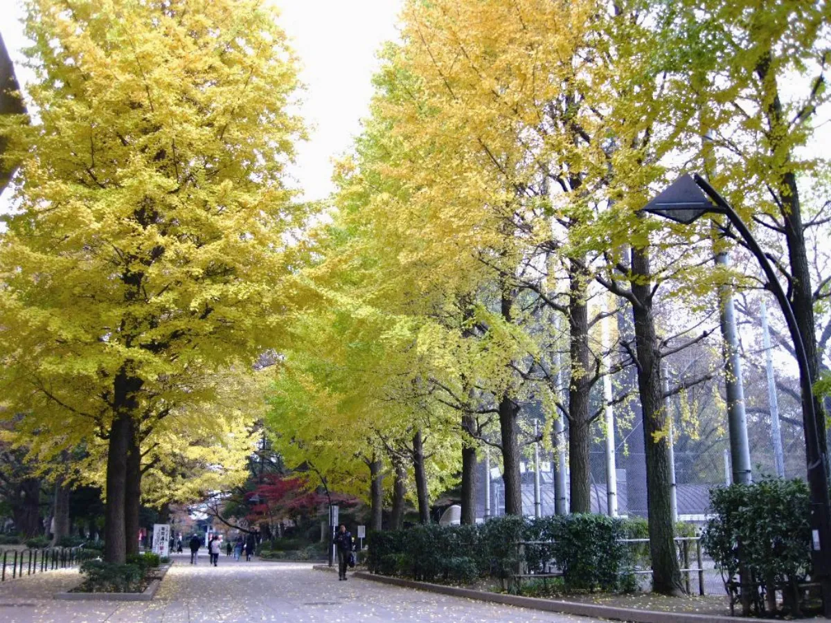 種樹，種生機花園