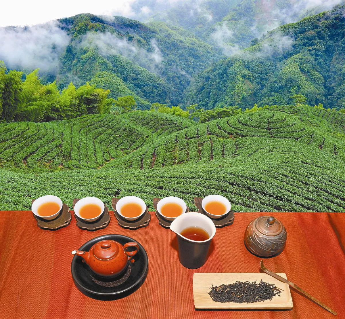 復古與創新——小葉紅茶在台崛起