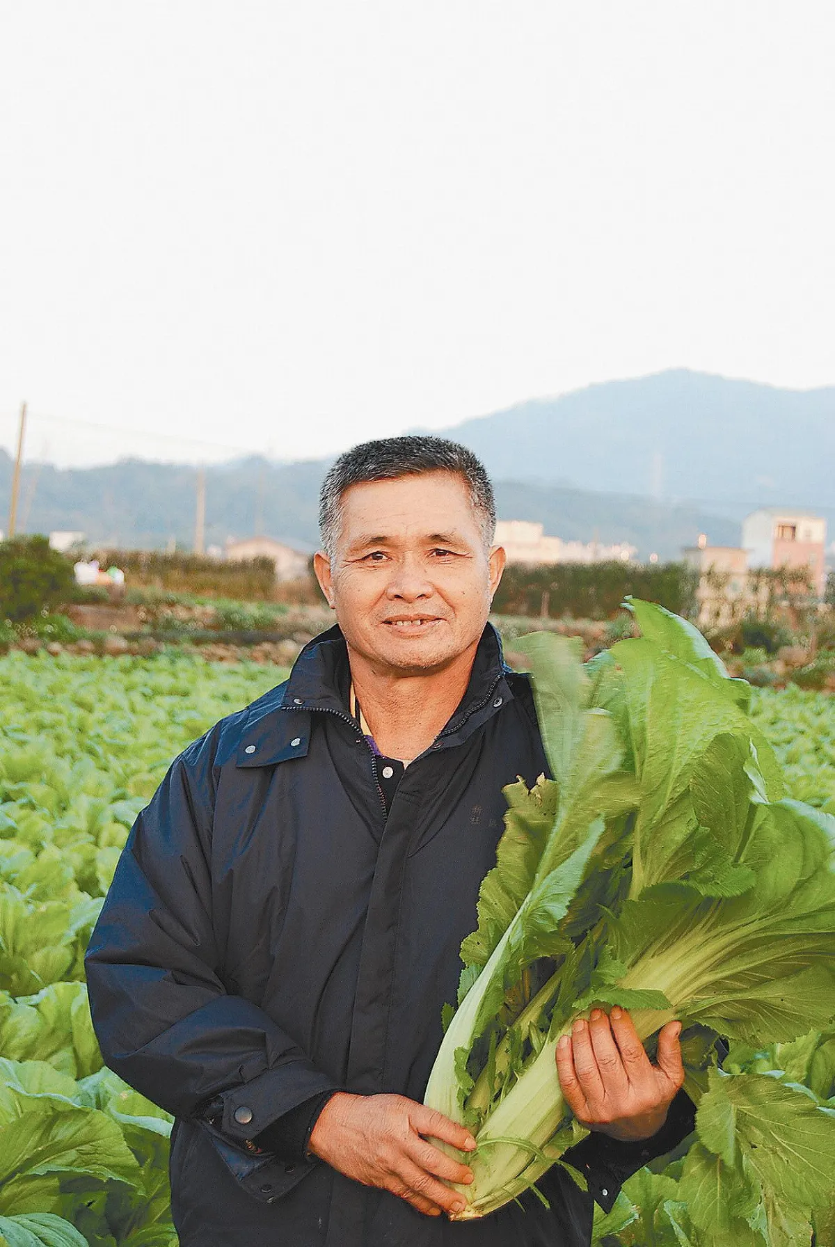 特產大芥菜變身 沉澱客家好滋味