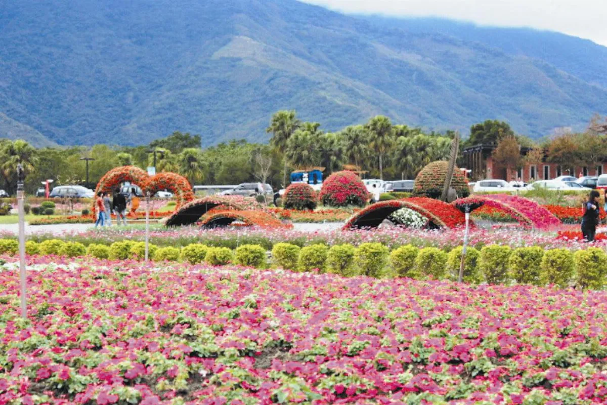 春節出遊 歡笑樂翻天   春節旅遊  首重老少咸宜