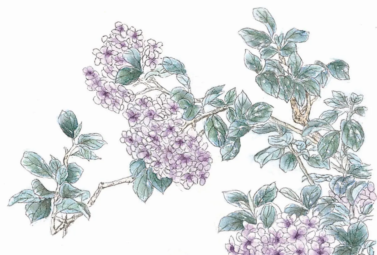 星雲說偈 無念自通