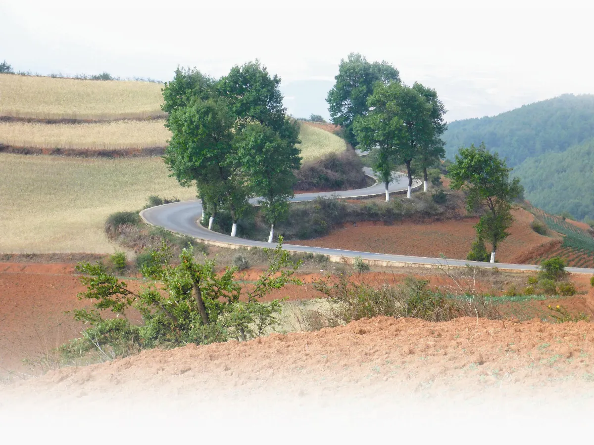 海闊天空任遨遊