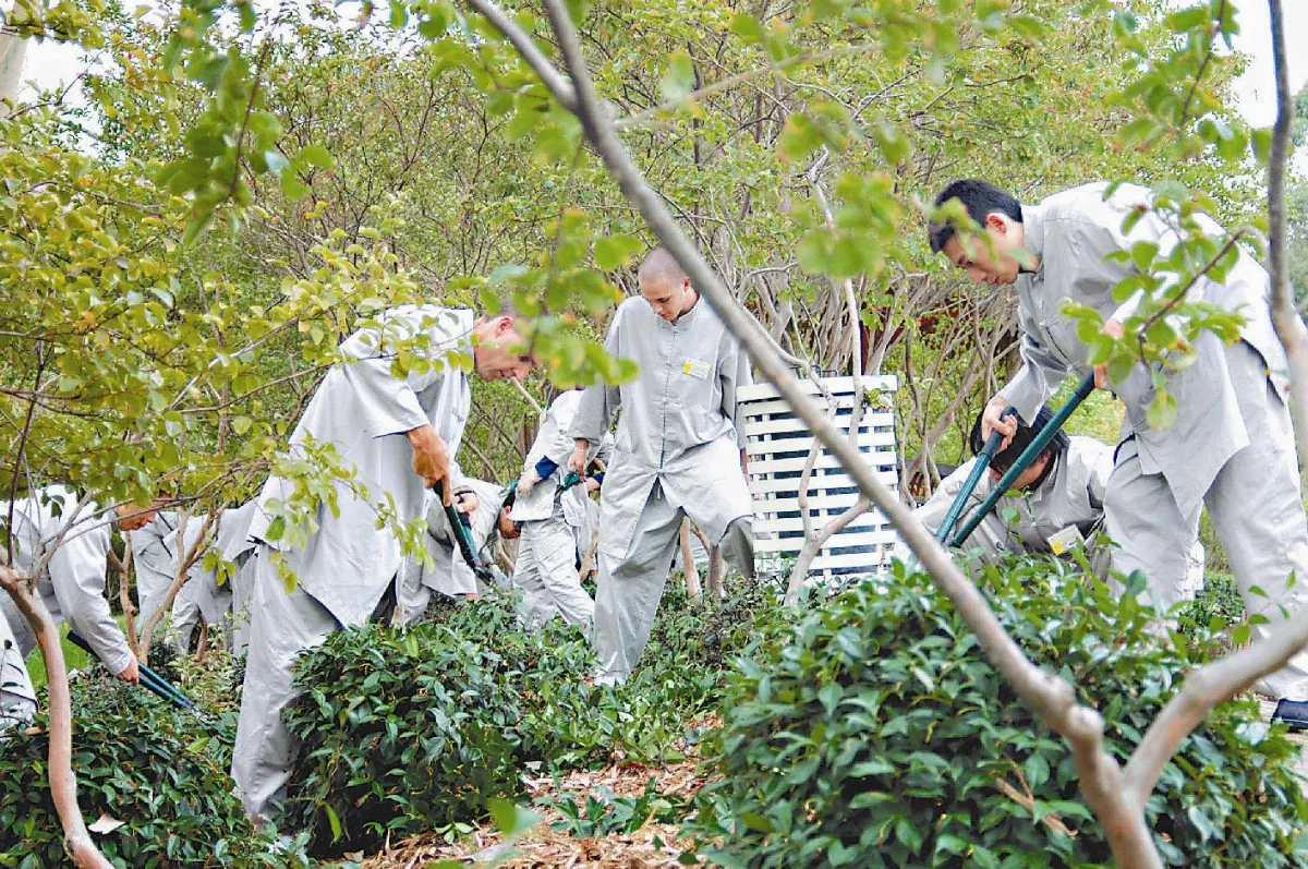 福慧故事  炷香增福