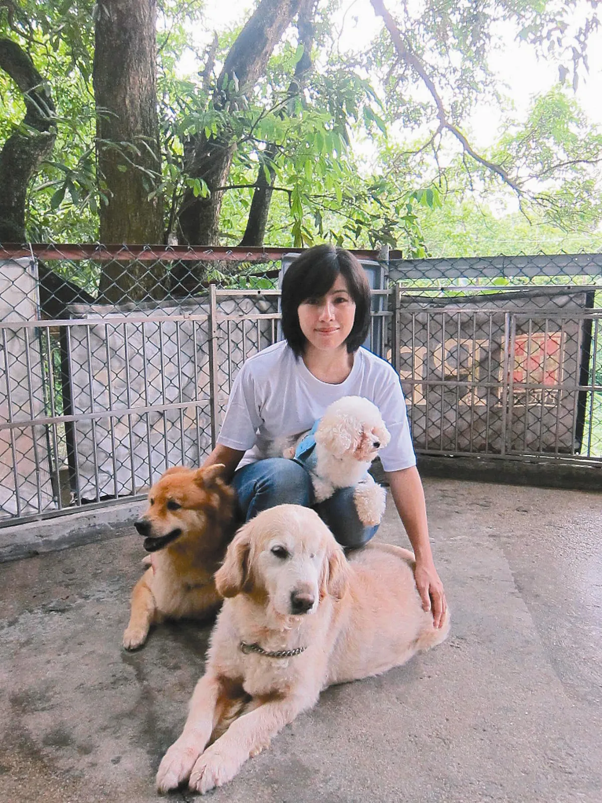 白領變村姑 創流浪狗之家
