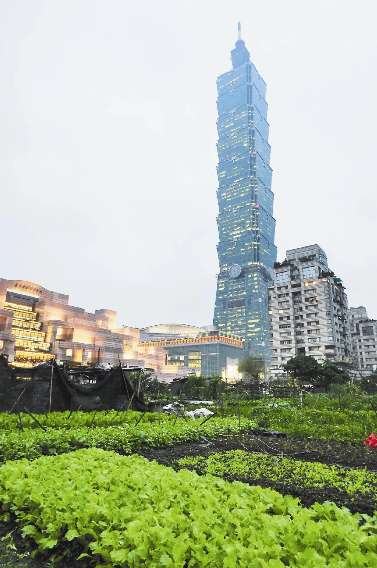 全台最貴菜園 22.9億買475坪
