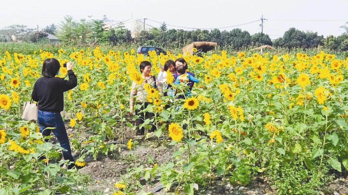 參與心靈耕地 原民種出希望