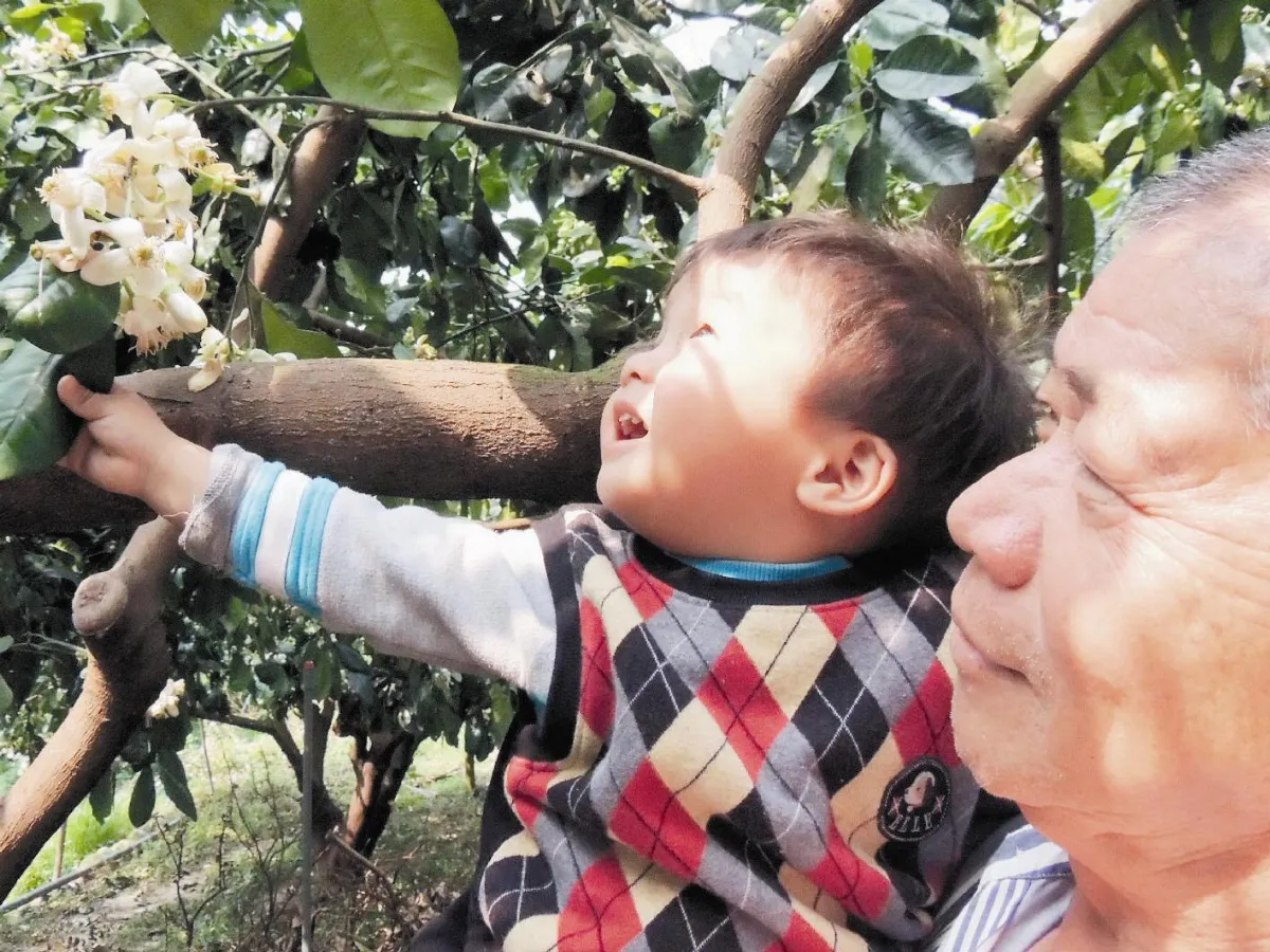 柚花開 健行去