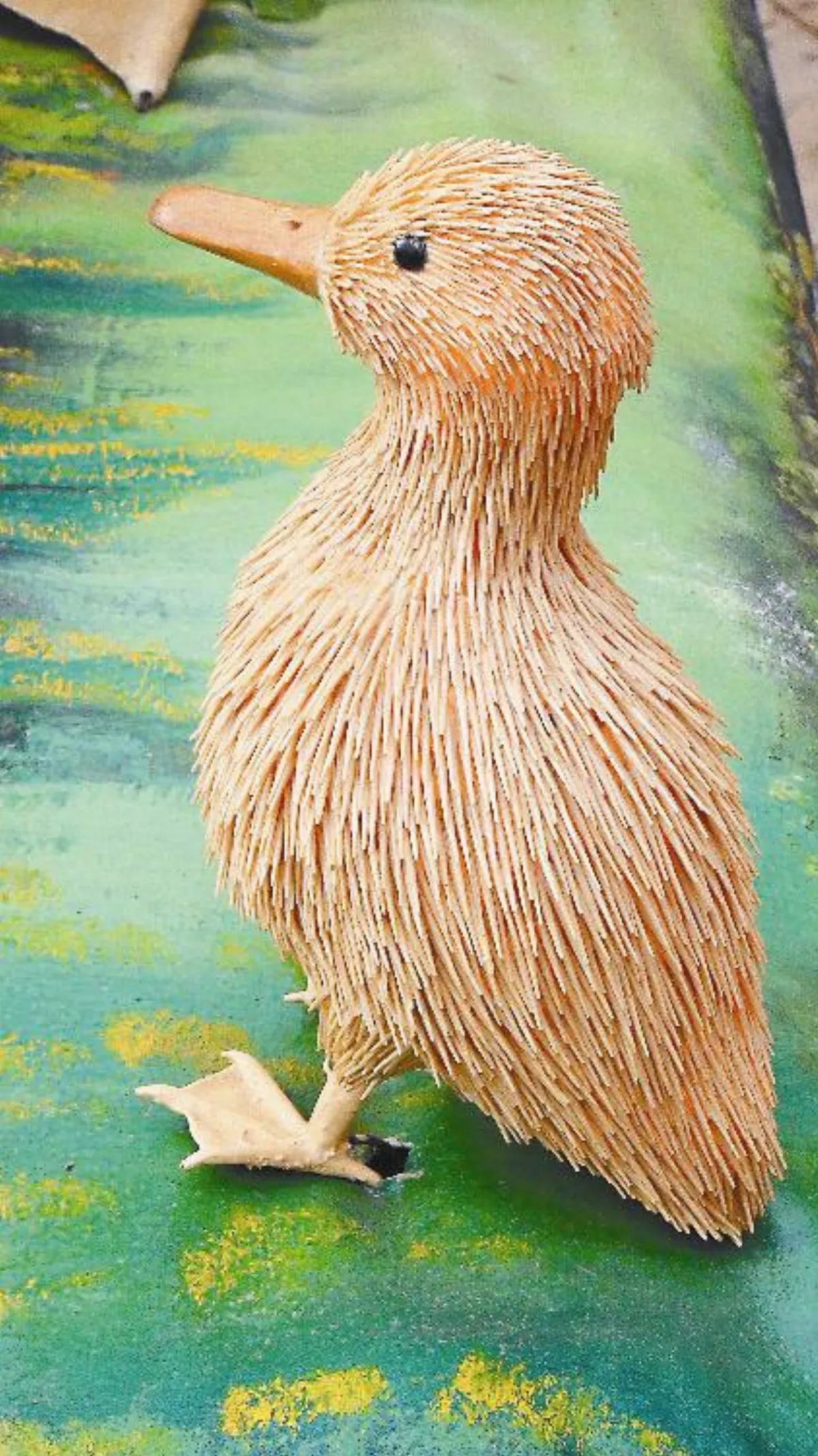 看百鳥朝鳳花燈 把握今天