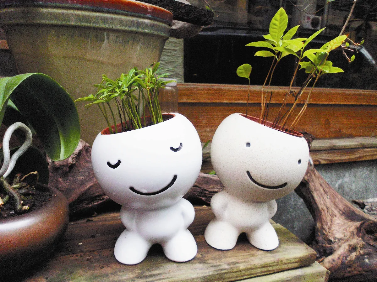 【生活快門】  逗趣的小綠人