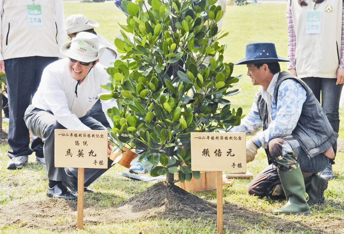 一起來植樹