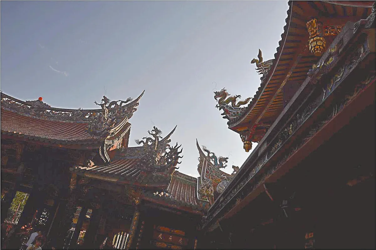 生活快門   燕尾朝天