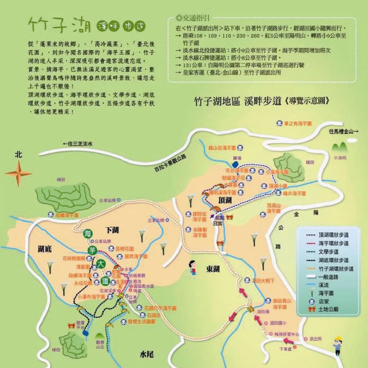 5溪畔步道 竹子湖悠賞海芋